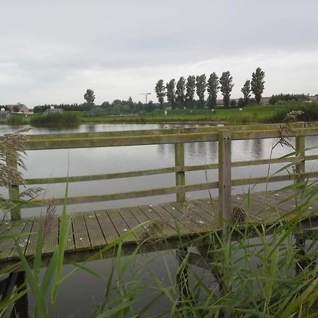 Stacaravan 4Pers In Bredene Met Eigen Tuintje 2449 Dış mekan fotoğraf