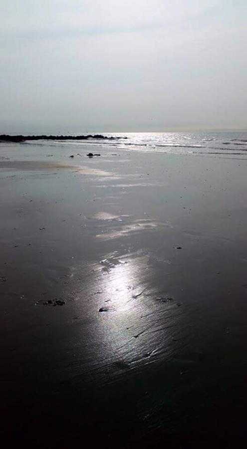 Stacaravan 4Pers In Bredene Met Eigen Tuintje 2449 Dış mekan fotoğraf